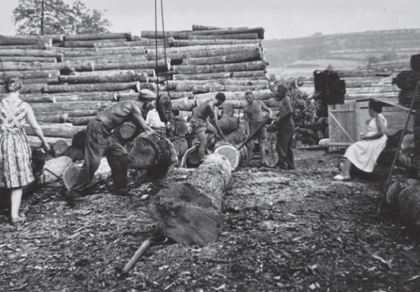 Holz einholen vor 150 Jahren