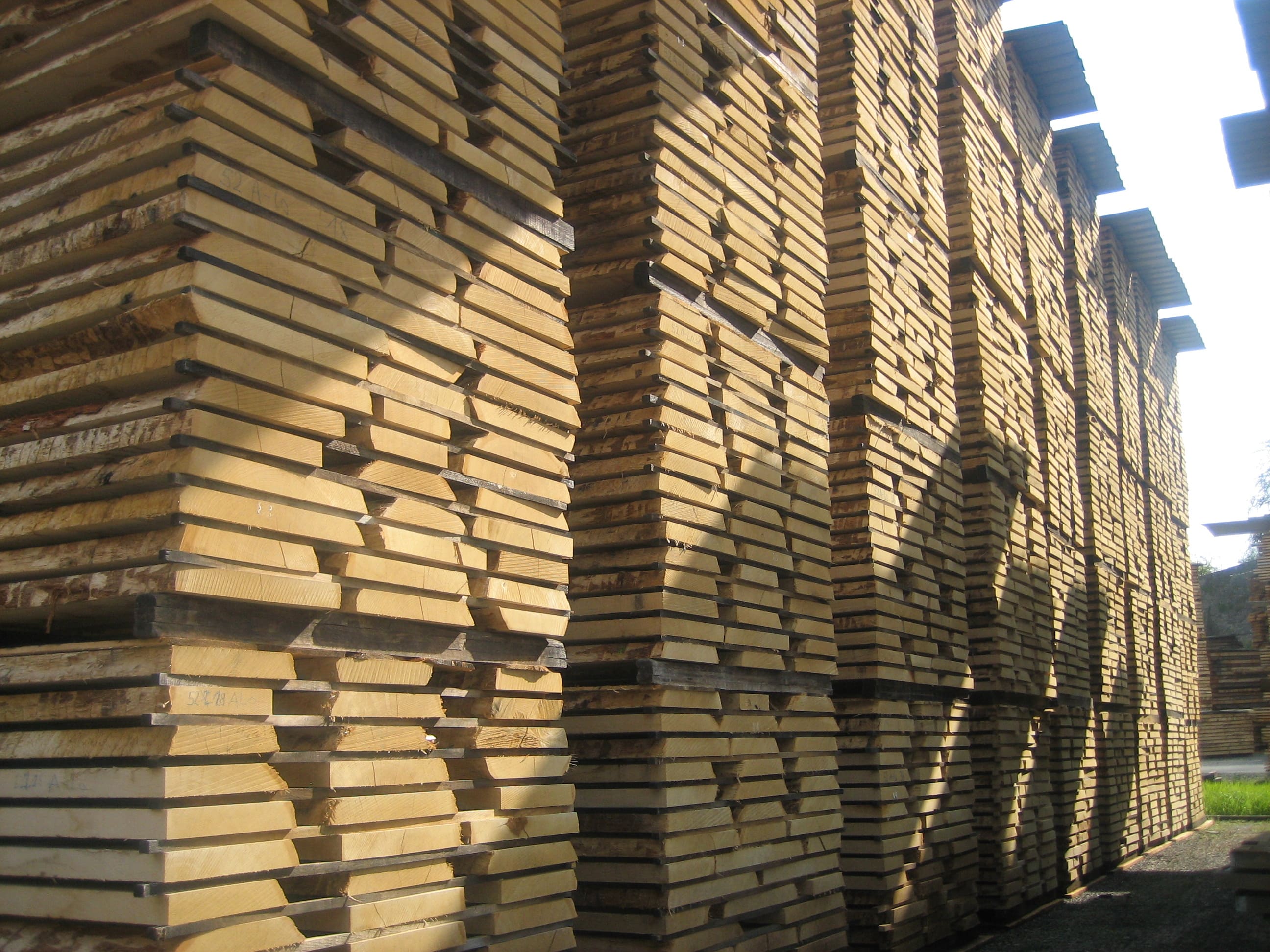 Falderschnitt Hugo Kämpf - Stefan Voll