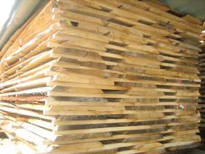 Eiche Flader Schnitt