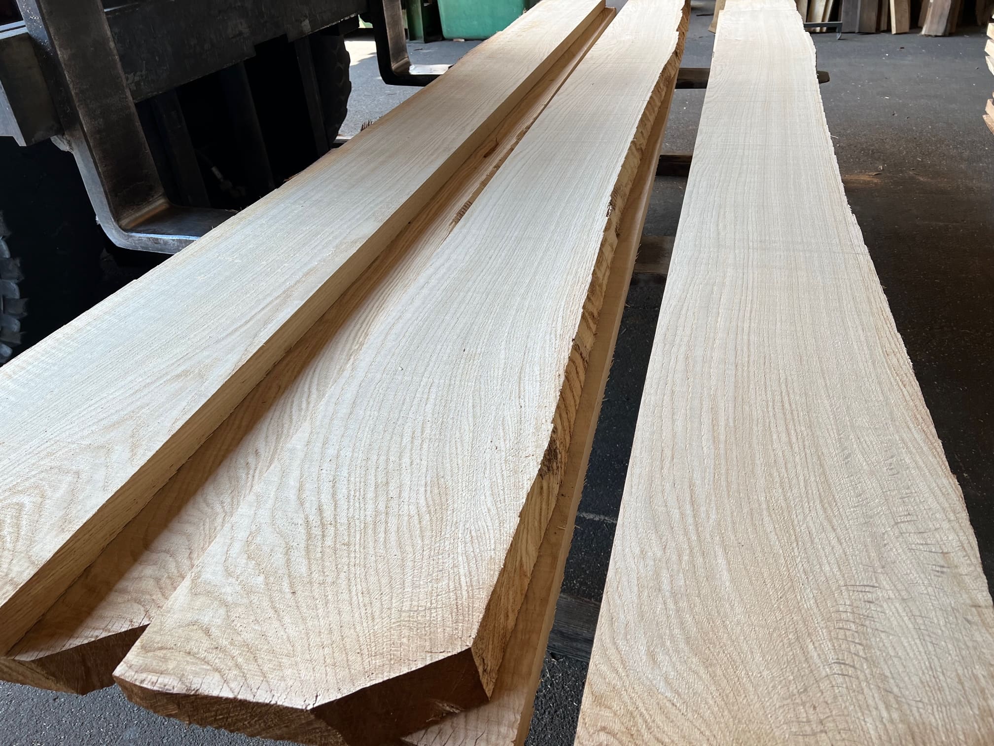 Falderschnitt Hugo Kämpf - Stefan Voll