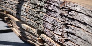 Schnittholz mit Baumkante