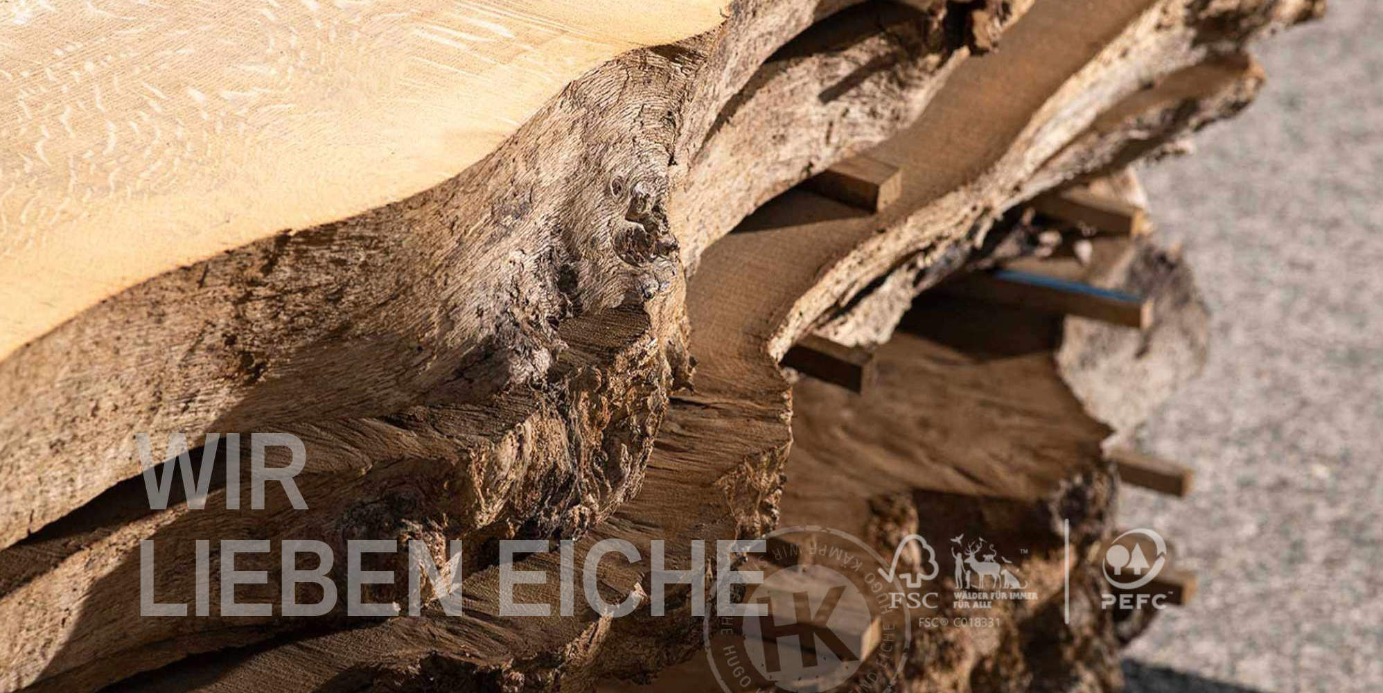 SCHNITTHOLZ MIT BAUMKANTE