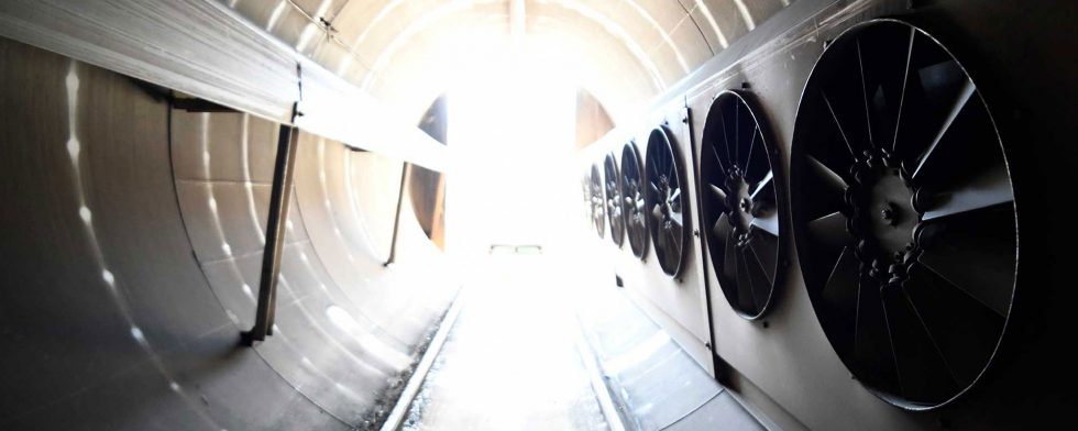 oak wood drying process