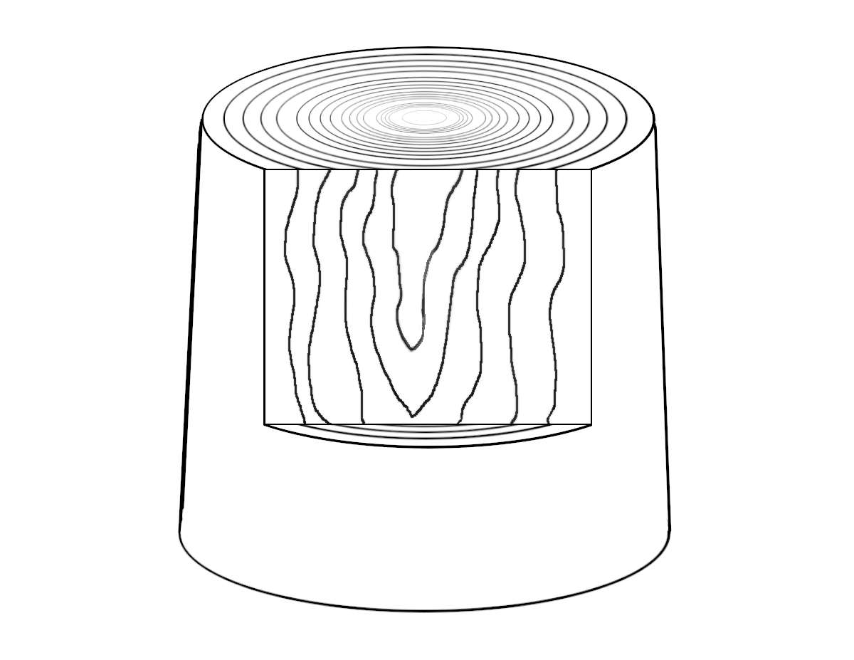 Flat cut iilustration