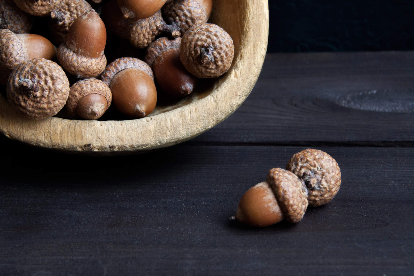 Eicheln: Lebensspender