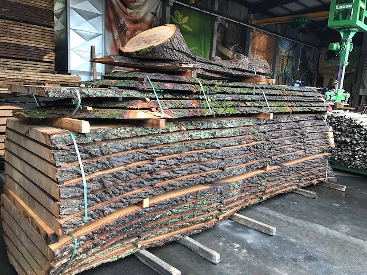 gesägte Eichenplatten trocknen gesägte Eichenplatten trocknen