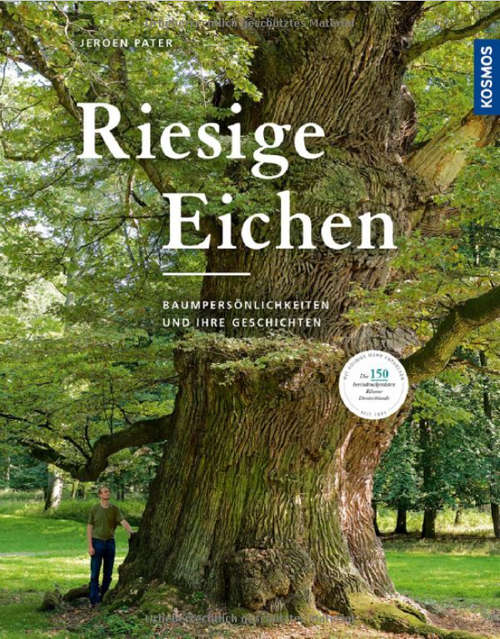 Riesige Eichen - Jeoren Pater Riesige Eichen - Jeoren Pater