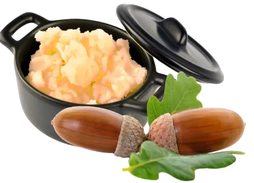 Acorn-Porridge