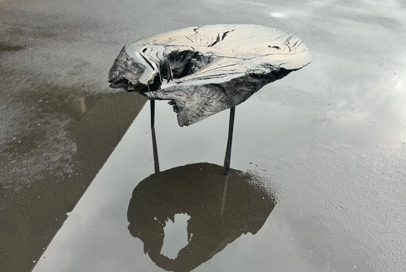 Side table made from bog oak