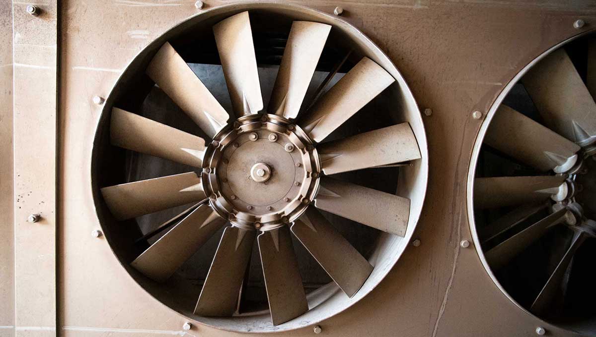 wood trade sawmill oak kaempf wood drying