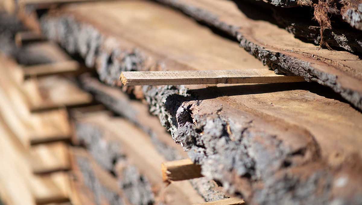 Manufacturing oak wood