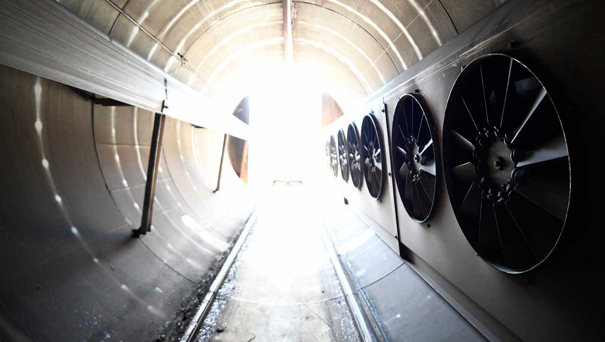 wood trade sawmill oak kaempf wood drying 1